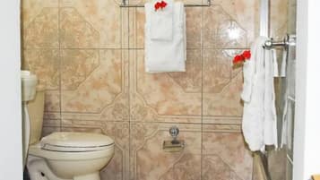 Hair dryer, towels, soap, shampoo
