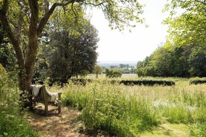 Property grounds - Nest Lodge, a stunning three bedroom lodge surrounded by nature (Pulborough)