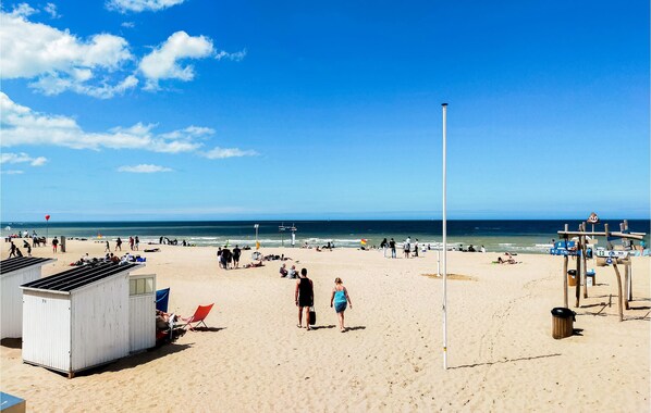 Vlak bij het strand, vissen