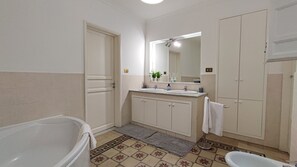 Shower, hair dryer, bidet, towels