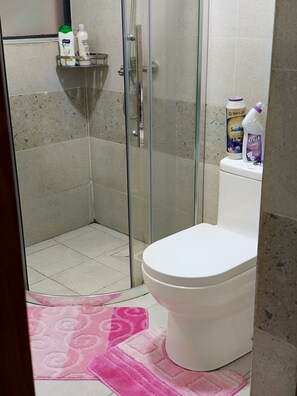 Dusche, Haartrockner, Handtücher, Seife