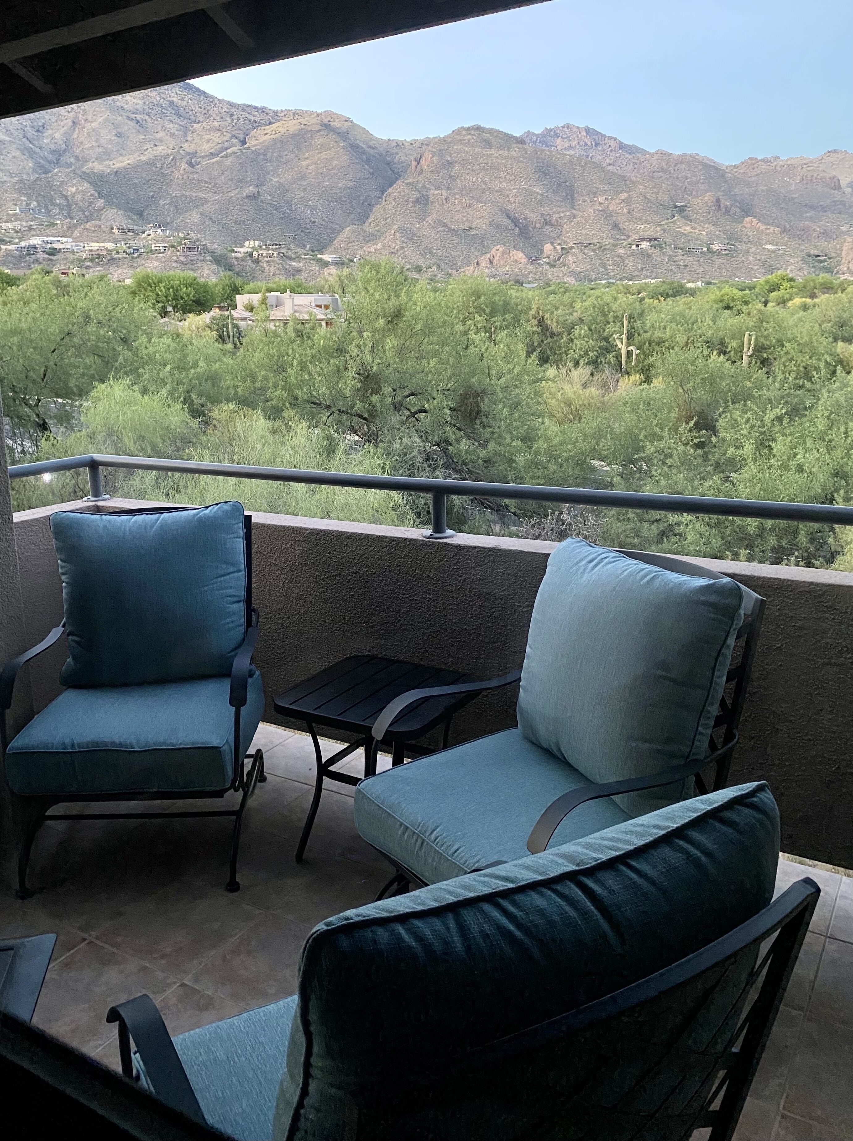 WOW Views! The Greens in Catalina Foothills Pet friendly!
