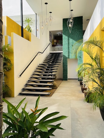 Interior entrance. H.Ixaya