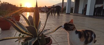Marilù Dream House Formia, Villa 800 meters from the sea