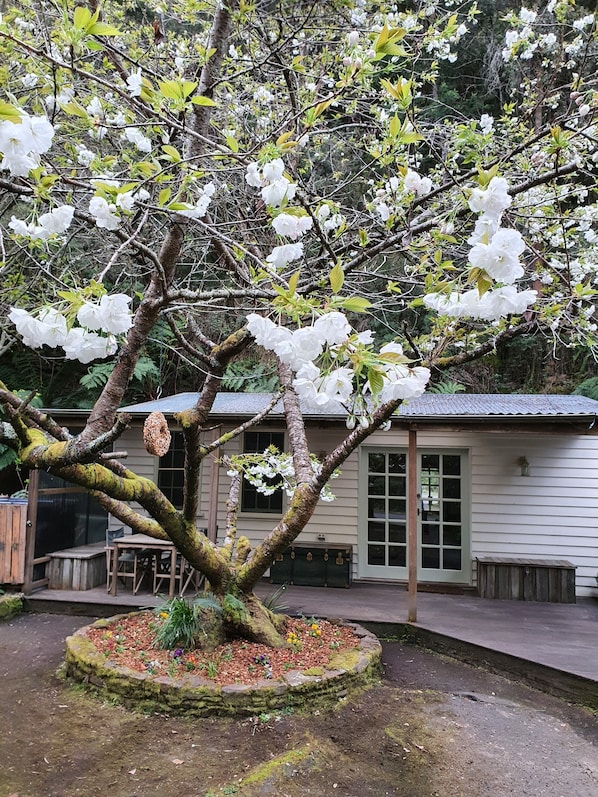 Property grounds - Jacomb's Cottage and Studio. Enjoy the Tranquillity. Walk to Town (Walhalla)