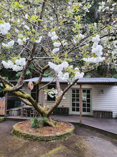 Jacomb's Cottage and Studio. Enjoy the tranquillity. Walk to town.