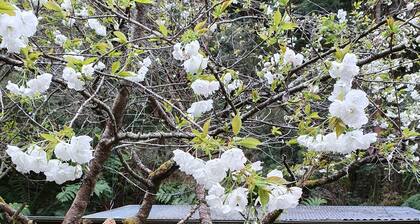 Jacomb's Cottage and Studio. Enjoy the Tranquillity. Walk to Town