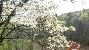 Un entorno exterior tranquilo con una terraza de madera, dos sillas Adirondack y un fondo de árboles en flor y un lago.