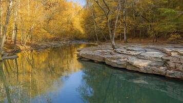 A river with clear water reflecting trees and rocks.