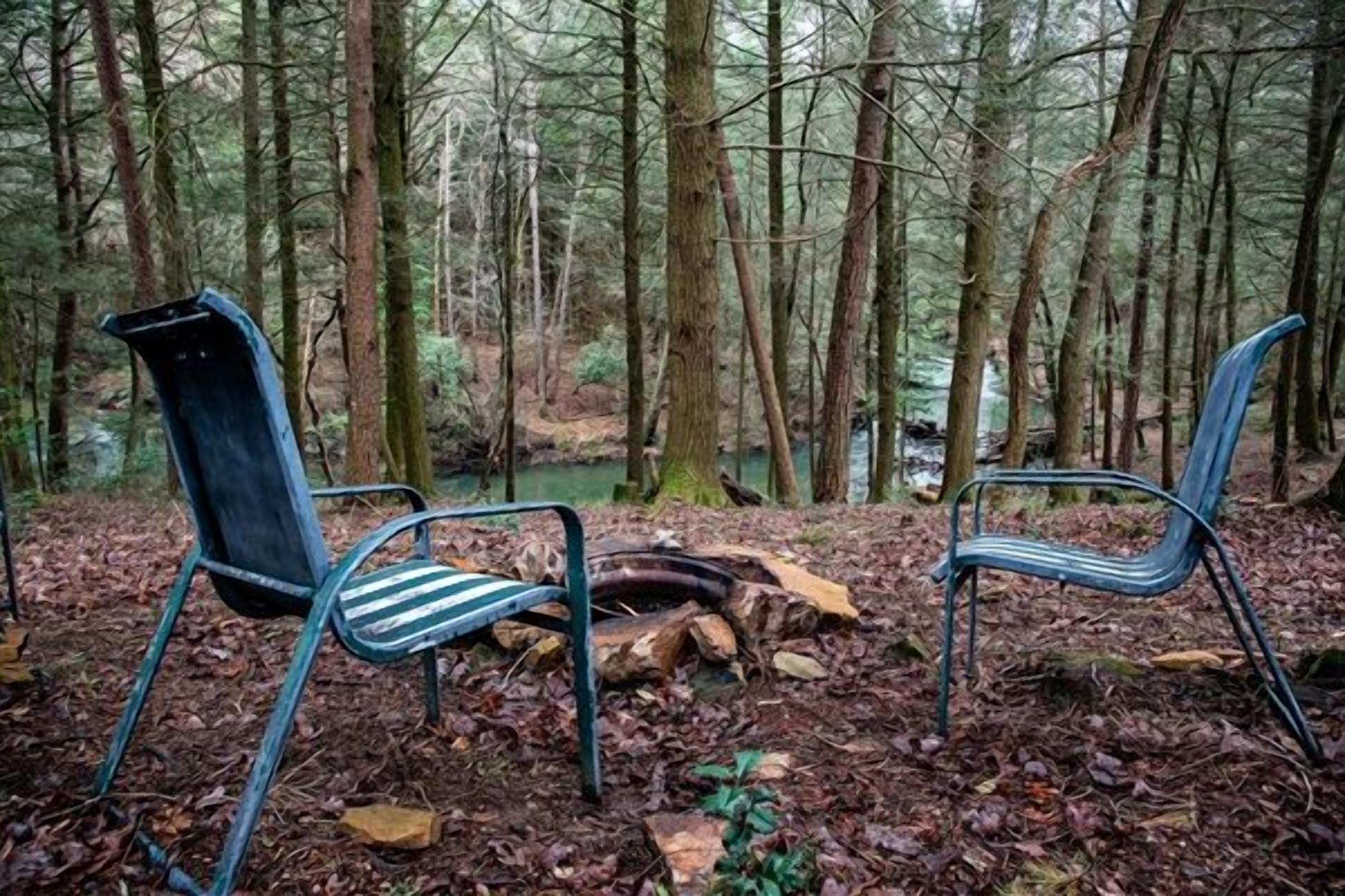 Two metal chairs in a forest setting with a fallen log and a stream in the background.