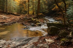 A forest stream with rocks and fallen leaves. - Hemlock Cabin at Ranger Creek - Near Coalmont OHV Park! (Coalmont)