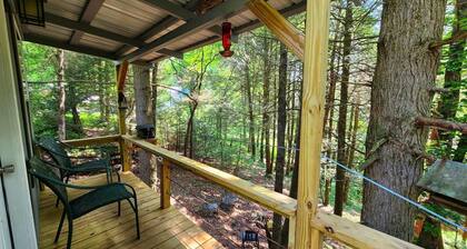 Hemlock Cabin at Ranger Creek