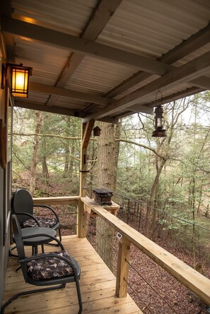 Property grounds - Hemlock Cabin at Ranger Creek - Near Coalmont OHV Park! (Coalmont)