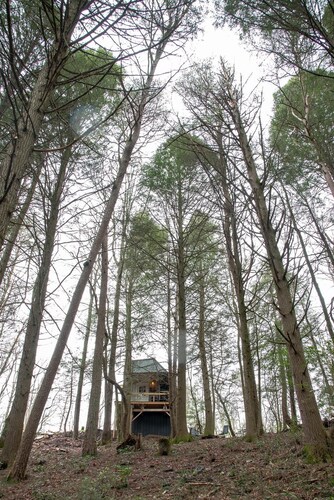 Hemlock Cabin at Ranger Creek - Near Coalmont OHV Park!