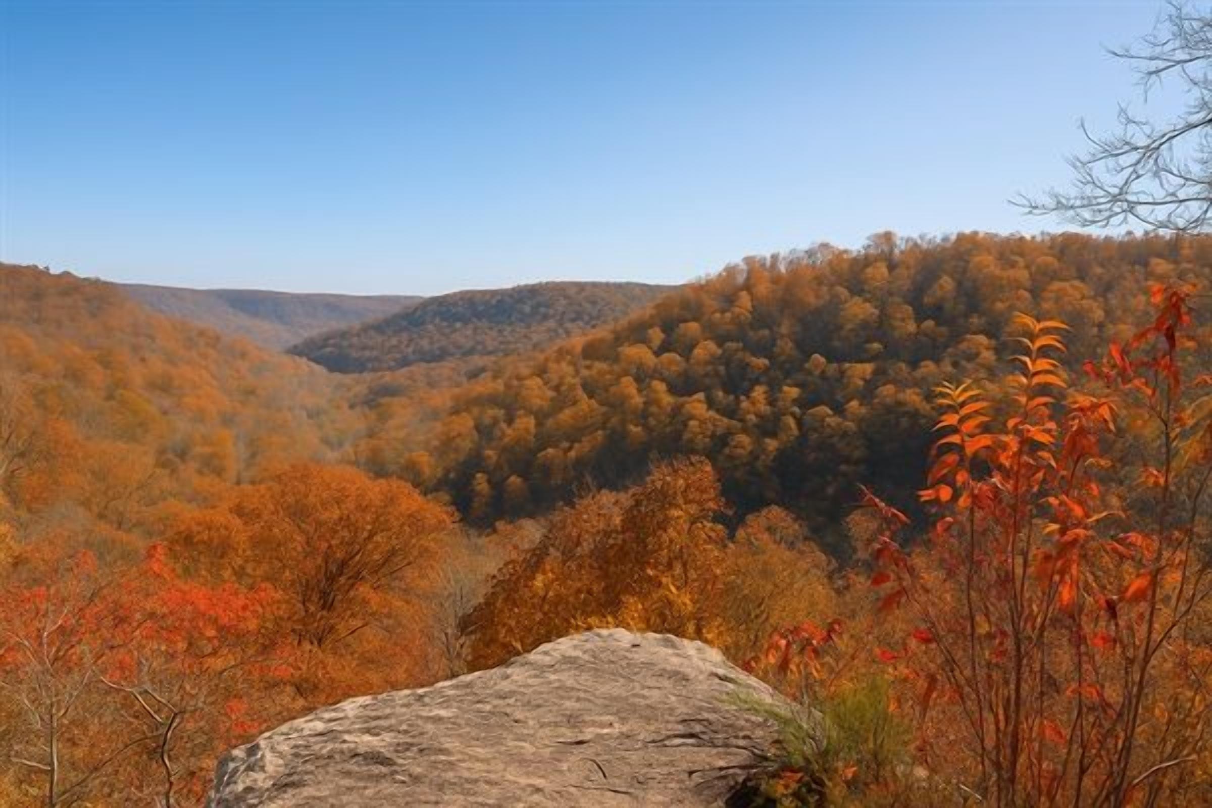 A natural landscape with a large rock in the foreground and a valley with autumn-colored trees in the background.