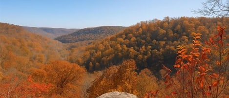 Eine natürliche Landschaft mit einem großen Felsen im Vordergrund und einem Tal mit herbstlich gefärbten Bäumen im Hintergrund.