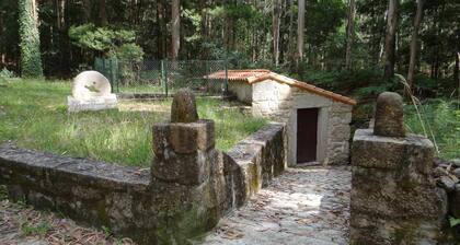 Newly renovated rural house in Canedo with terrace