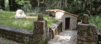 Newly renovated rural house in Canedo with terrace