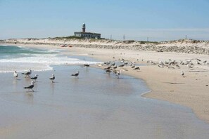 A beach with seagulls, a lighthouse, and a building on a dune.
