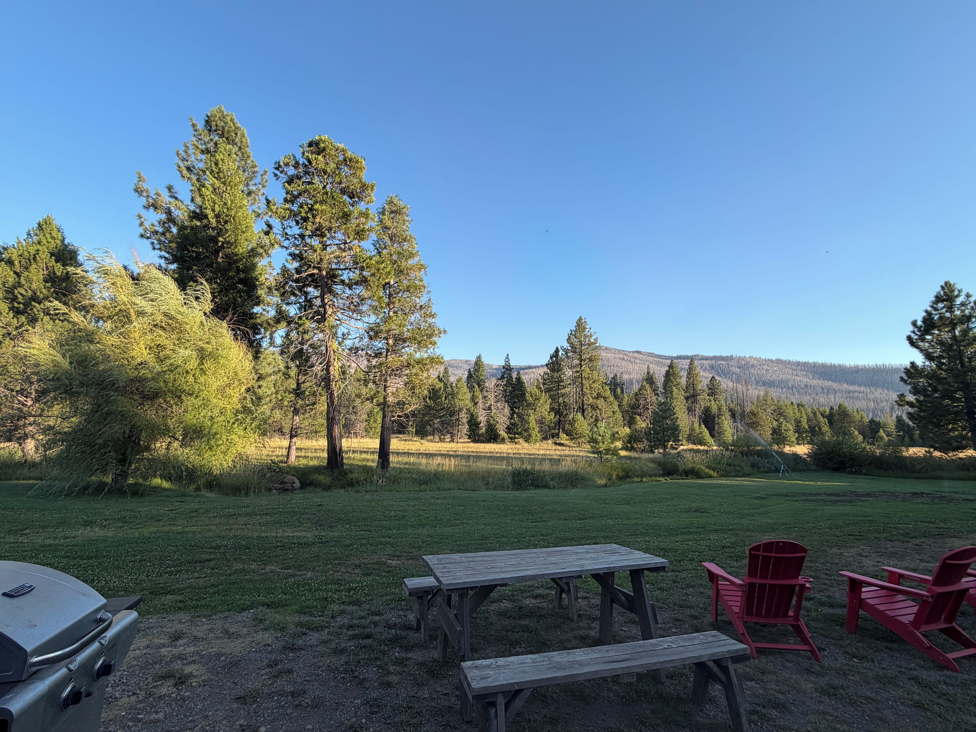 Un espace pique-nique équipé d’une table et de chaises, entouré d’arbres, avec une montagne en toile de fond.