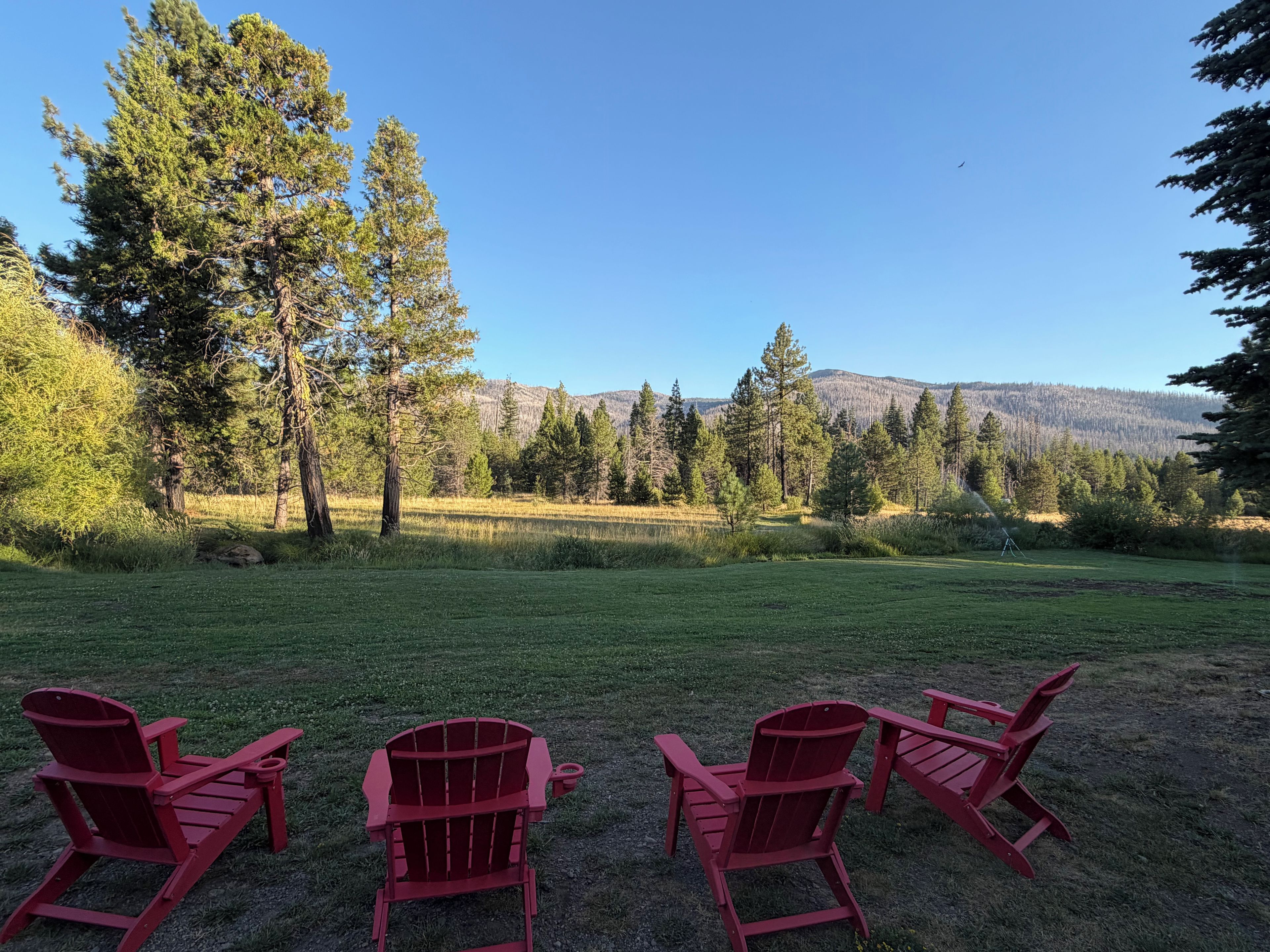 A grassy outdoor area with three red Adirondack chairs facing a forested hillside.