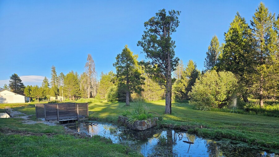 The Black Forest Lodge