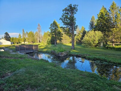 The Black Forest Lodge