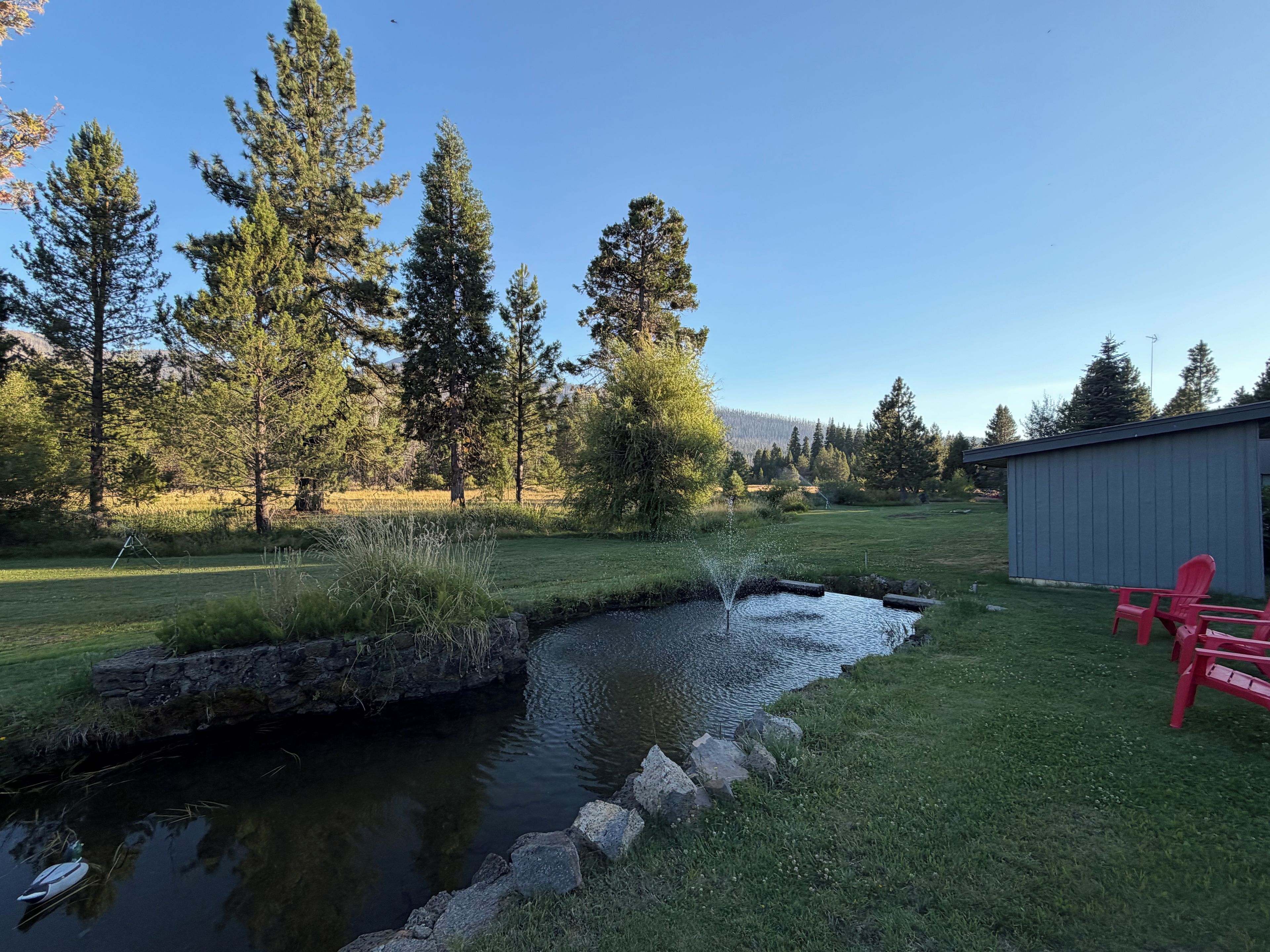 A pond with a small waterfall, surrounded by grass and trees, with a shed and red chairs in the background.