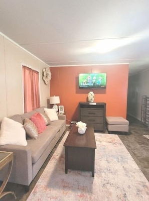 Smart TV, books
