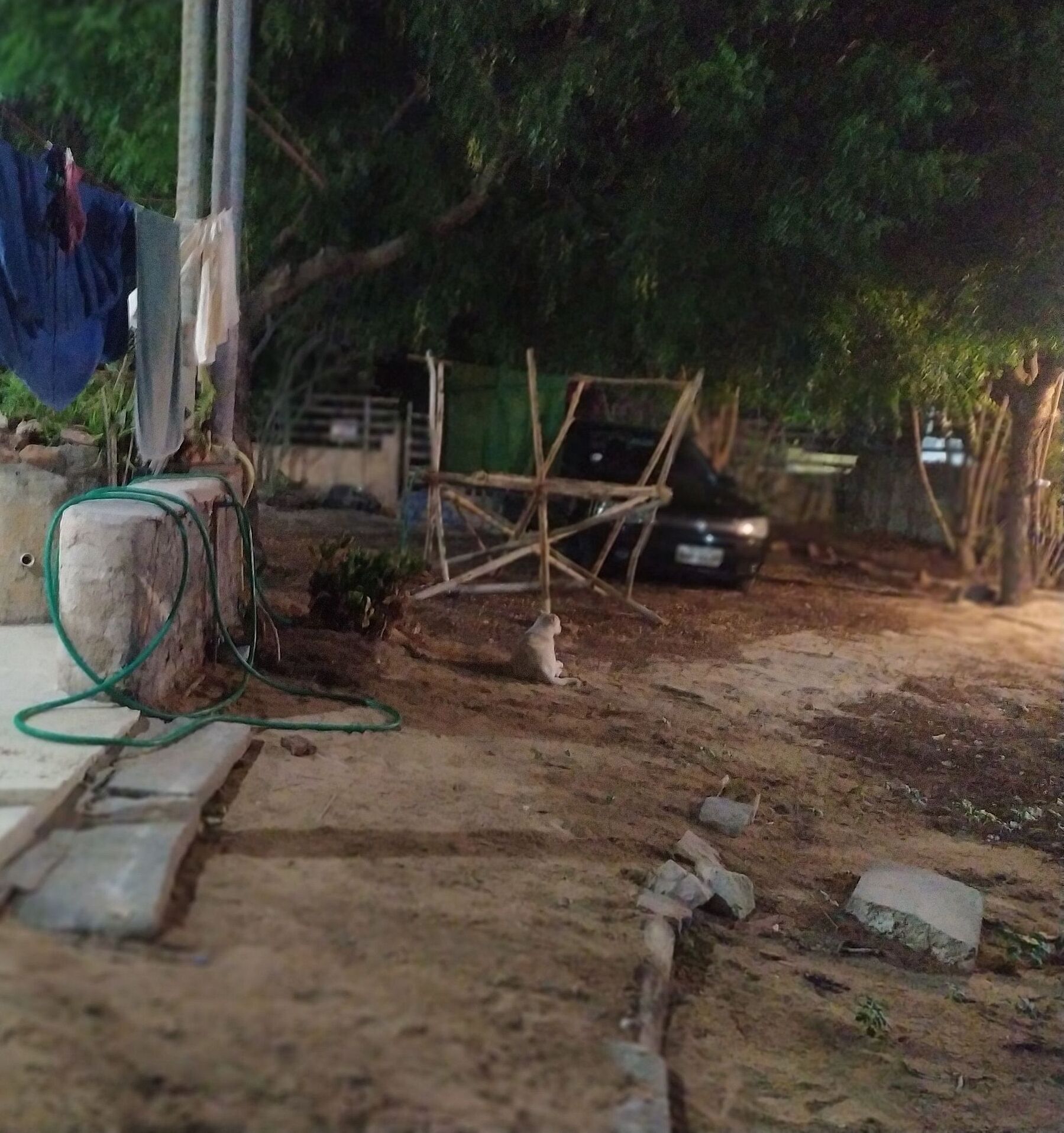 A dirt path with scattered rocks and a small structure made of sticks.