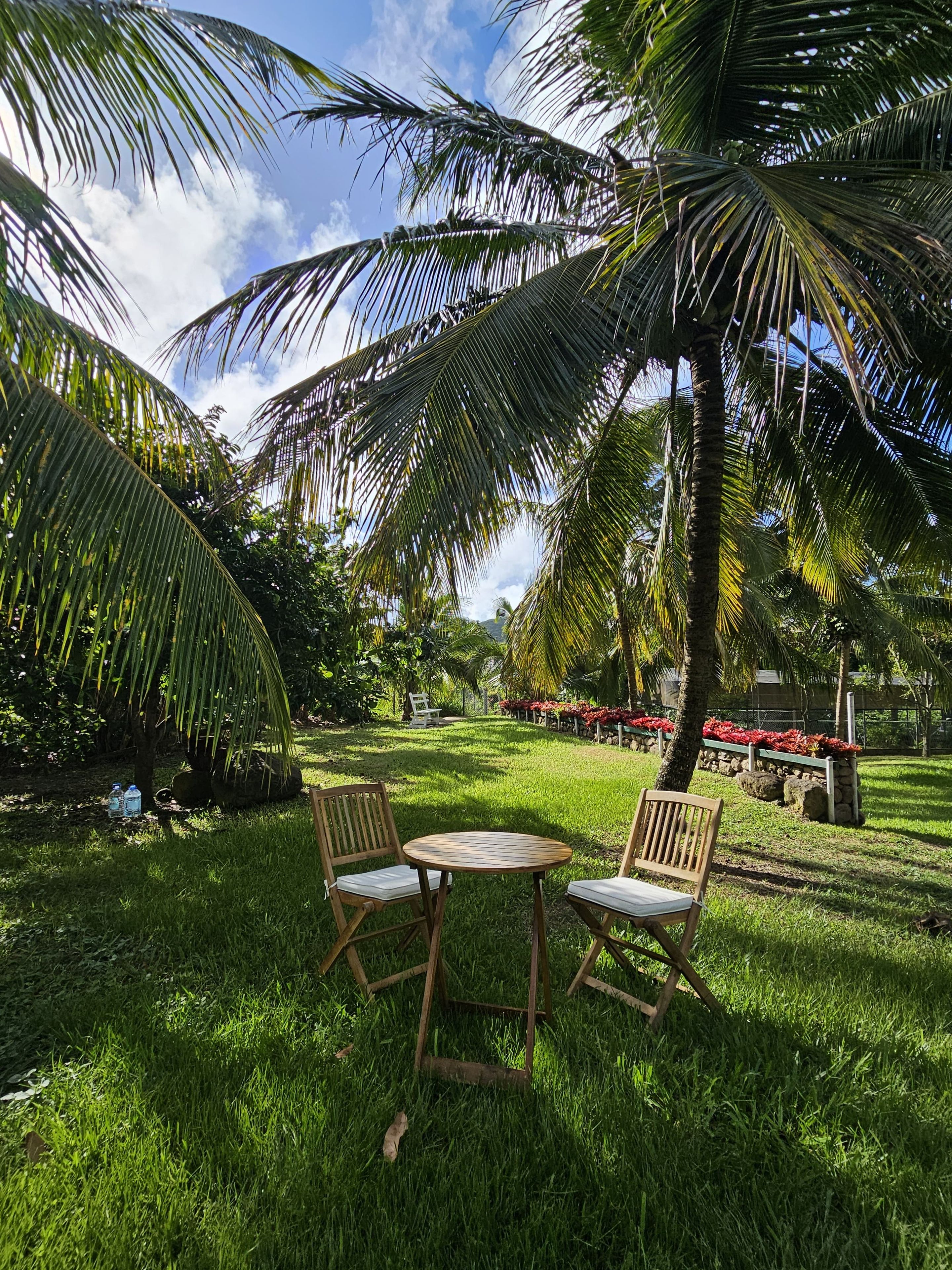 A tropical garden with a wooden table and chairs, palm trees, and a clear sky.