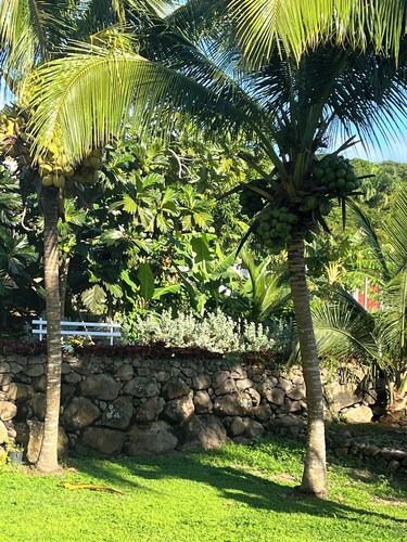 Ylang Cottage cozy studio in the foothills of Nevis Peak & great walking trails