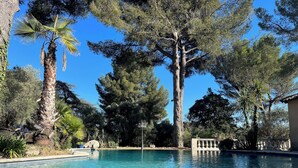A clear blue pool surrounded by trees and a stone balustrade. - Villa Grand Cédre - Family house with infinity pool, garden 4000m2. (Marseille)