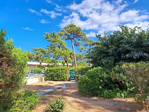 Property grounds - Mini Villa Avec Jardin à 50 m Plage (Borgo)