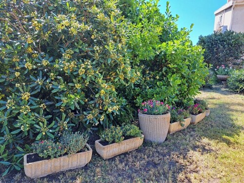 Mini Villa Avec Jardin à 50 m Plage