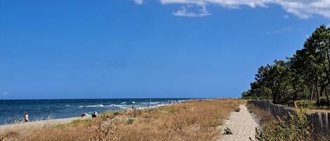 Beach nearby, sun loungers, beach towels