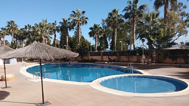 A swimming pool area with two circular pools, surrounded by palm trees and thatched umbrellas.