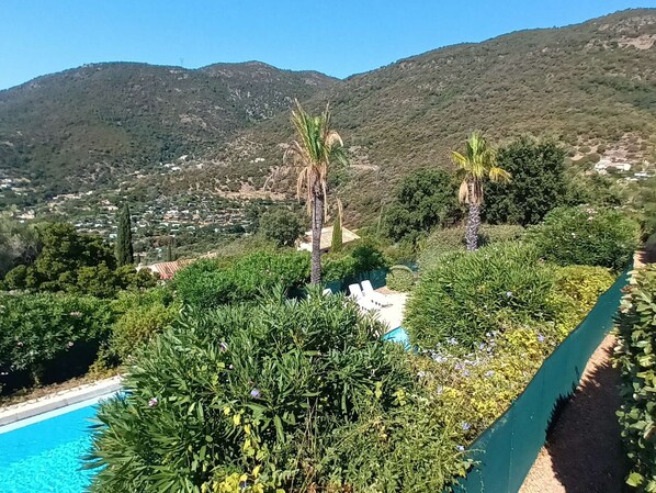 Pool - Villa in Cavalaire-sur-Mer with pool, sauna, parking, and pets allowed (Cavalaire-sur-Mer)