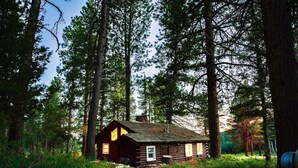 Eine rustikale Holzhütte, umgeben von hohen Kiefern.