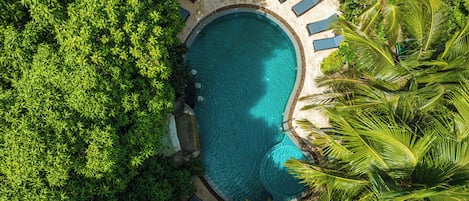 Vista aerea di una piscina circondata da vegetazione lussureggiante e palme, con sdraio e un bordo in pietra.