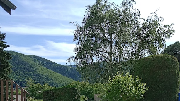 Ein Whirlpool mit Wasser, umgeben von einer gebirgigen Landschaft und viel Grün.