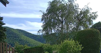 Gîte "chez Tony " et son SPA