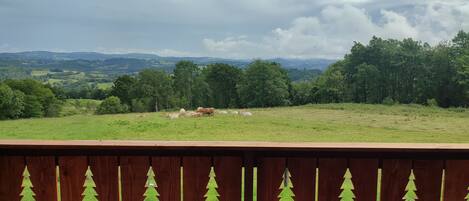 المنطقة المحيطة بالمنشأة