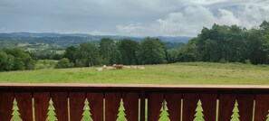 Property grounds - La Cabane Insolite (ST GIRONS)