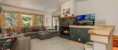 TV, fireplace, video games, books