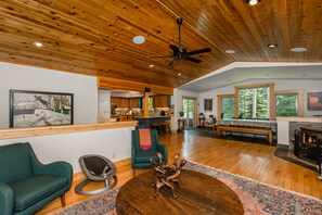 TV, fireplace, video games, books