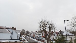 En bostadsgata med hus, parkerade bilar och en gatlykta.