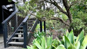 Een trap die leidt naar een overdekt gebied met een tuin vol grote groene planten.