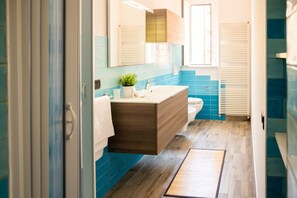 Shower, hair dryer, bidet, towels