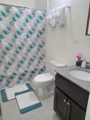 Shower, hair dryer, towels, soap